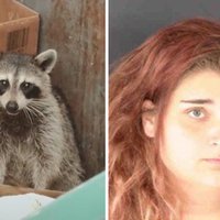 A screenshot of the raccoon dumpster fire viral video and the perpetrator Alicia Kincheloe.