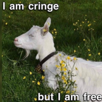 I Am Cringe But I Am Free I Am Cringe But I Am Free