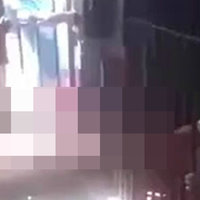 Jellyfish Arms Jail Video.