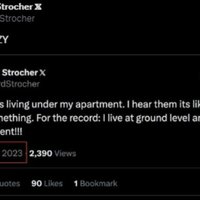 Richard Strocher Jewish Tunnels tweet.