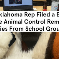 Oklahoma House Bill 3084 / Furries Removed From School by Animal Control Bill story.