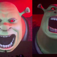 Shrek Rave Visuals meme.