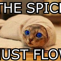 The Spice Must Flow