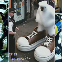 I'm Covered In Foam Dawg video examples.