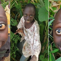 Tenge Tenge Kid / Rango photos.