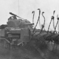 Sherman Crab Tank