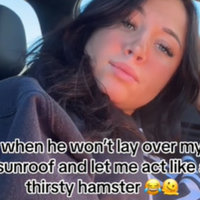 The Thirsty Hamster Sunroof Thing