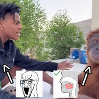 Crying Soyjak vs Mewing Jaw meme example depicting streamer ishowspeed and an orangutan.