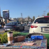 Taylor Lorenz LibsofTikTok Interview depicting a screenshot of the meetup.