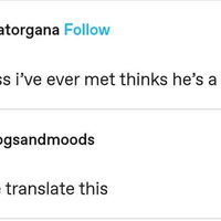 Tumblr Meme reading "every ross i've ever met thinks he's a chandler" followed by a comment by moogsandmoods reading "someone translate this"