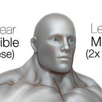 Right Ear, The Bible (Chinese), Left Ear, Mozart (2x Speed)