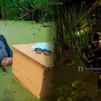 Soulslike Poison Swamps