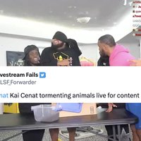 Kai Cenat animal cruelty stream and a tweet from the LSF subreddit.
