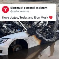 Tesla Cult tesla on fire, love elon musk