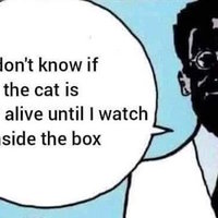I Don't Know If the Cat Is Dead or Alive Until I Watch Inside the Box meme.