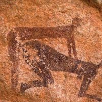 Backshots Cave Painting meme / Backshots Are Truly Generational.