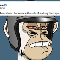 Vydamo's ape Salazar