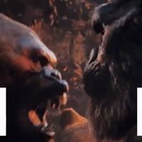 King Kong Punching a Gorilla GIF / Kong Mewing King Kong Punching a Gorilla GIF / Kong Mewing meme example.