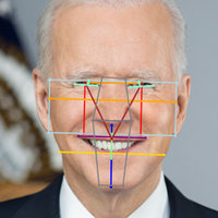 Incel Tech example image depicting joe biden's face run through incel.tech website.