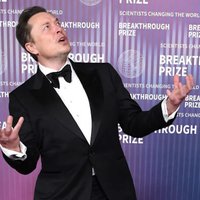 Elon Musk Red Carpet Poses meme.