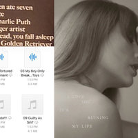 Taylor Swift Tortured Poets Department Leaks example images.