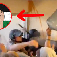 Jug of Justice / Bonk the Police / Water Jug Pro-Palestine Meme