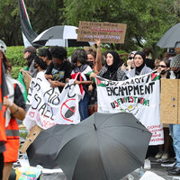 A 2024 Pro-Palestinian College Protest photo example.