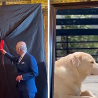 King Charles Portrait Reveal King Charles Portrait Reveal meme format and example.