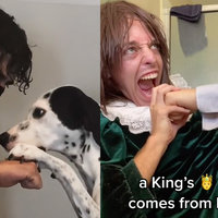 Catching Punch Trend / "So Tell Me How's It Feel" meme