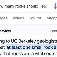 Google Search AI Overviews / Google AI example image.