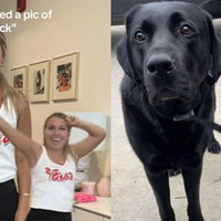 Gimme Head Top song and Dance AI TikTok video memes.