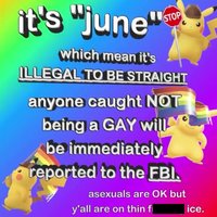 Its Fucking Pride Month / It's "June" Which Mean It's Illegal To Be Straight Its Fucking Pride Month / It's June Which Mean It's Illegal To Be Straight meme and copypasta.