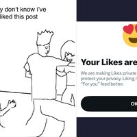 Twitter (X) Private Likes