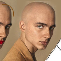 bald timothee chalamet meme and photoshop edits