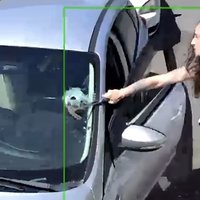 seattle coffee drive thru fight viral video