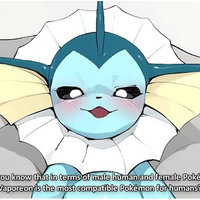 vaporeon copypasta meme and image example