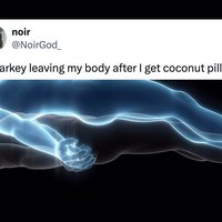 leaving my body coconut pilled meme example