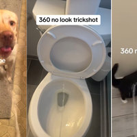 360 No Scope Toilet Trickshots example videos.