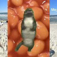 Dancing Alligator meme