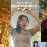 Examples of Project Coconut posts from TikTok.