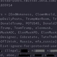Twitter API Leak Screenshot example of users listed.