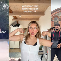 Talahon tiktok video examples.