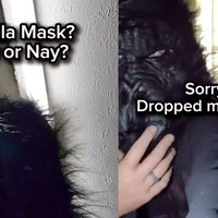 Gorilla Mask Video