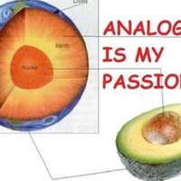 Analogia Is My Passion