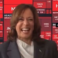 Kamala Crash cover depicting the stock market crash in August 2024.