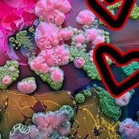 Zombietwt example image depicting mold growing in a Petri dish.