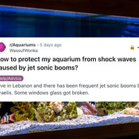 r/Aquariums Sonic Boom Post from August 2024.