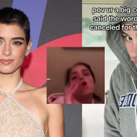 Dixie D'Amelio N-Word Controversy depicting an image of the influencer and a screenshot from the video.