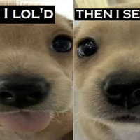 First I Loled, Then I Serioused first i lol'd then i serious'd meme example