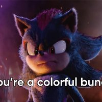 You're a Colorful Bunch You're a Colorful Bunch meme depicting shadow the hedgehog in the sonic 3 movie.